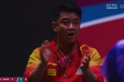 开云体育官网-奥地利乒乓球队强势波兰乒乓球队，王皓送出助攻的简单介绍