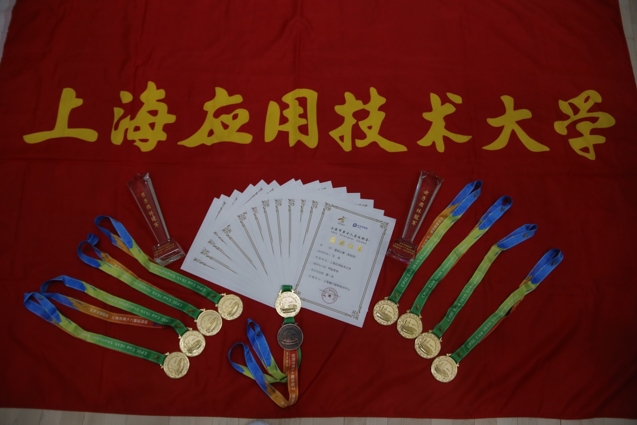 荷兰选手实力横扫，斩获多项金牌