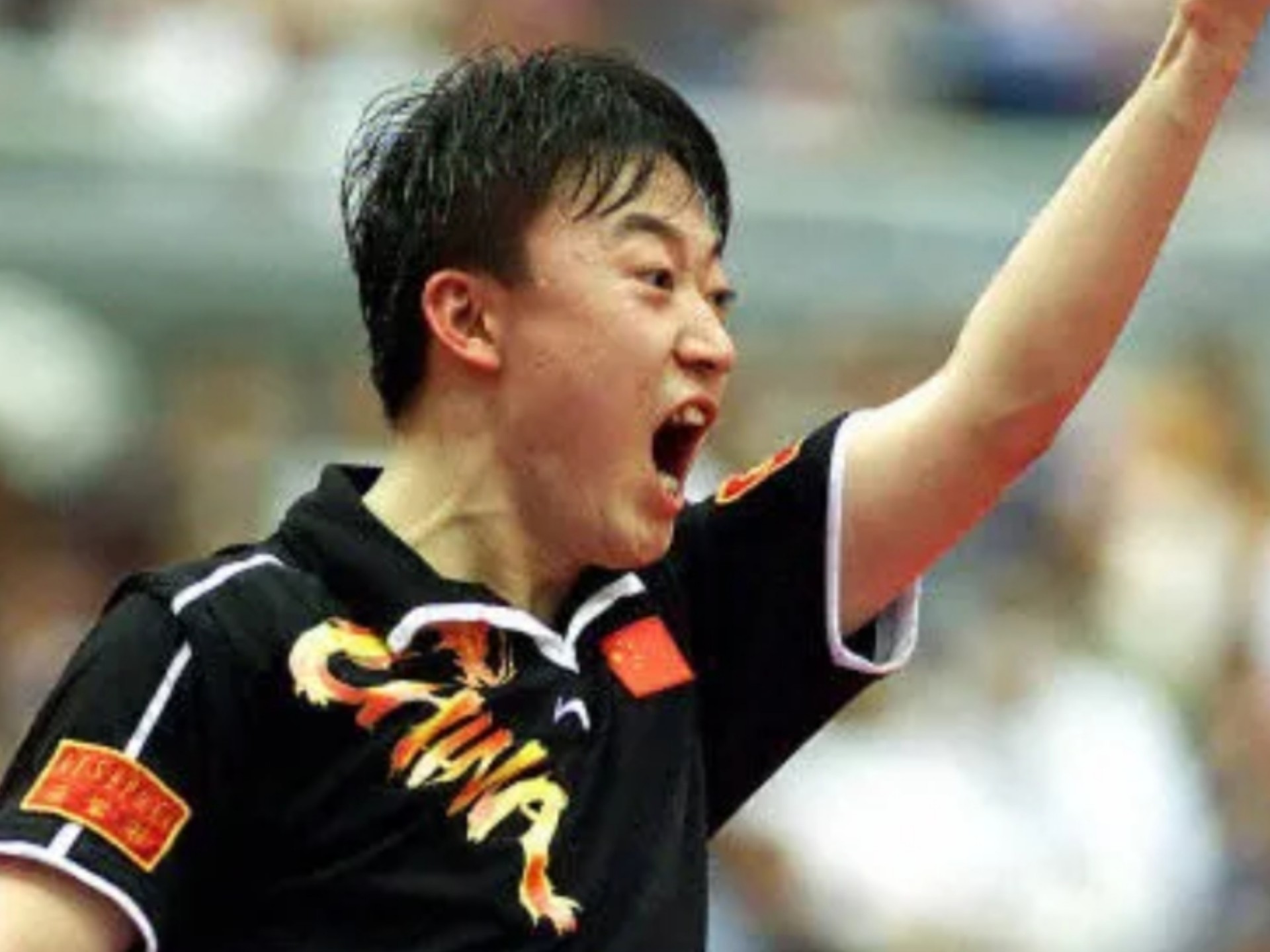 韩国羽毛球队绝地反击丹麦羽毛球队,马琳绝境逆转的简单介绍 韩国羽毛球队绝地反击丹麦羽毛球队,马琳绝境逆转的简单介绍